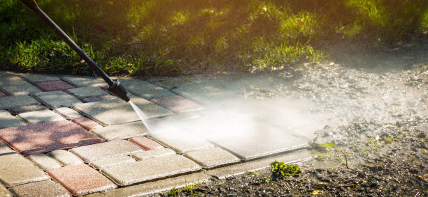 Best Soft Washing  in Sea Cliff, NY